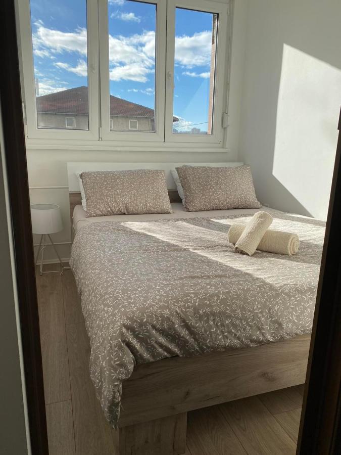 Cosy Apart Aca 贝尔格莱德 外观 照片